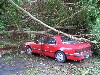 IMG_0399.jpg